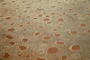 Fairy Prints: DDE-90021427
