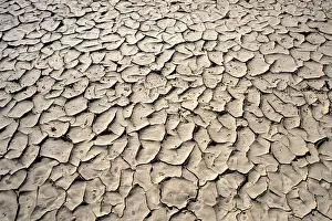 Surface Prints: DDE-90021532
