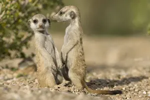 Keetmanshoop Prints: DDE-90021580
