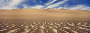 Windswept Prints: DDE-90021598