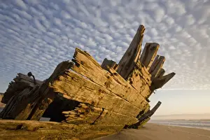 Wreck Prints: DDE-90021603