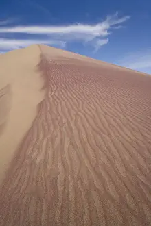 Namib Prints: DDE-90021605