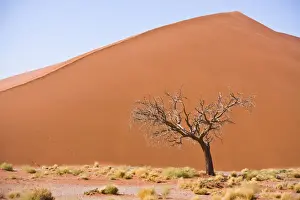Namib Prints: DDE-90021617