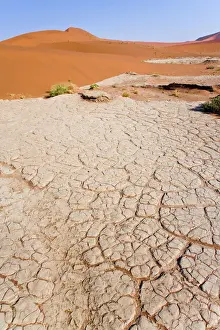 Namib Prints: DDE-90021619