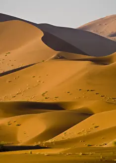Namib Prints: DDE-90021620
