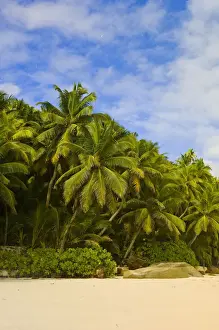Seychelles Prints: DDE-90021688