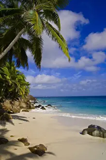 Seychelles Prints: DDE-90021694
