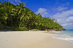 Seychelles Prints: DDE-90021695
