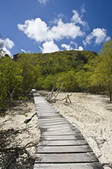 Walkway Prints: DDE-90021705