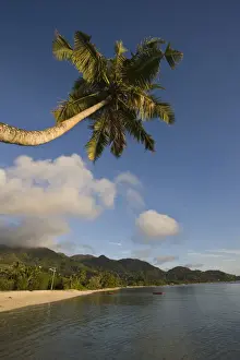 Seychelles Prints: DDE-90021720