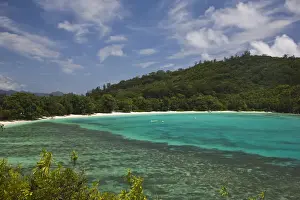 Seychelles Prints: DDE-90021726