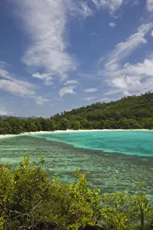 Seychelles Prints: DDE-90021727