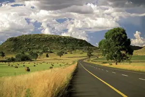 Highway Prints: DDE-90022129