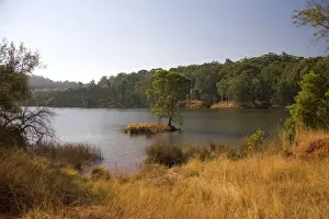 Scenery Prints: DDE-90022145