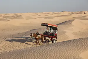 Wagon Prints: DDE-90022858