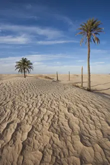Tunisia Prints: DDE-90022865