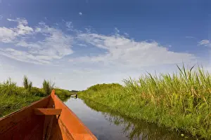 Canoe Prints: DDE-90022905