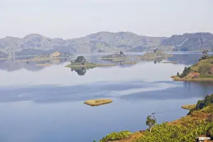 Mutanda Prints: DDE-90022920