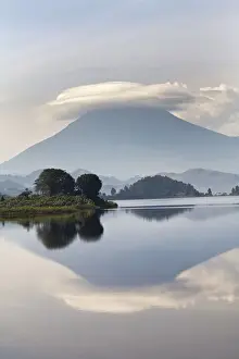 Virunga Prints: DDE-90022923