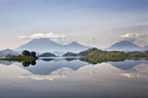 Virunga Prints: DDE-90022924