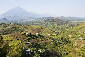 Virunga Prints: DDE-90022929