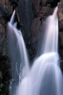 Falling Prints: DDE-90022986