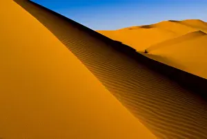 Empty Prints: DDE-90023073