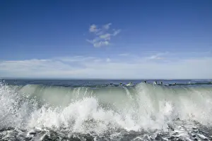 Splash Prints: DDE-90023426