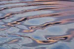 Reflecting Prints: DDE-90023532