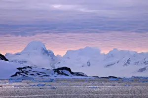 Snowcapped Prints: DDE-90023618