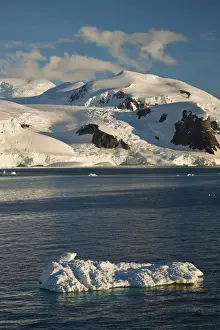 Snowcapped Prints: DDE-90023621