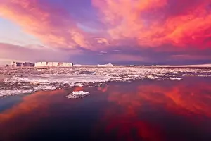 Floes Prints: DDE-90023744