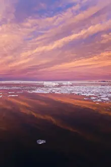Floes Prints: DDE-90023746