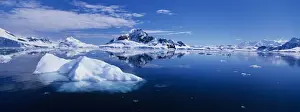 Frigid Prints: DDE-90023822