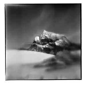 Lemaire Prints: DDE-90023872