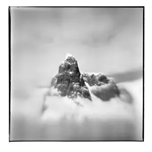 Lemaire Prints: DDE-90023873