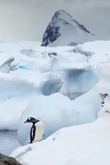 DDE-90023915