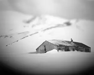 Cove Prints: DDE-90023925