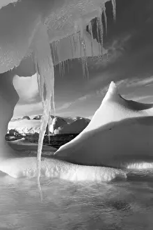 Icicle Prints: DDE-90023942