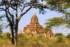 Myanmar Prints: DDE-90024083