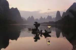 Cormorants Prints: DDE-90024121