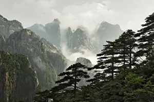 Valleys Prints: DDE-90024123