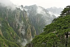 Valleys Prints: DDE-90024124