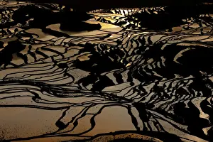 Terraced Prints: DDE-90024164