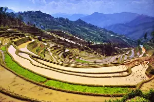 Yunnan Prints: DDE-90024174
