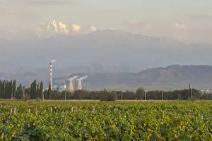 Nuclear Prints: DDE-90024193