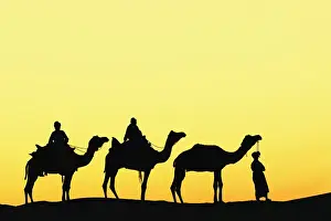 Camels Prints: DDE-90024270