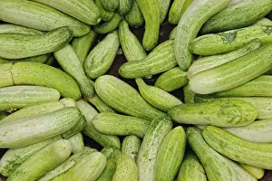 Vegetables Prints: DDE-90024278