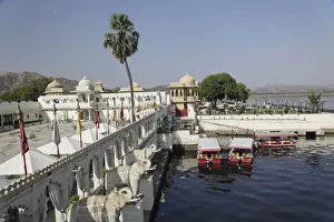 Udaipur Prints: DDE-90024290