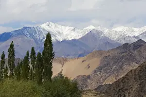 Ladakh Prints: DDE-90024538